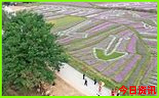 去雁荡山玩住哪比较方便